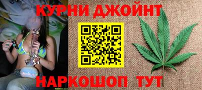 mdpv Славгород